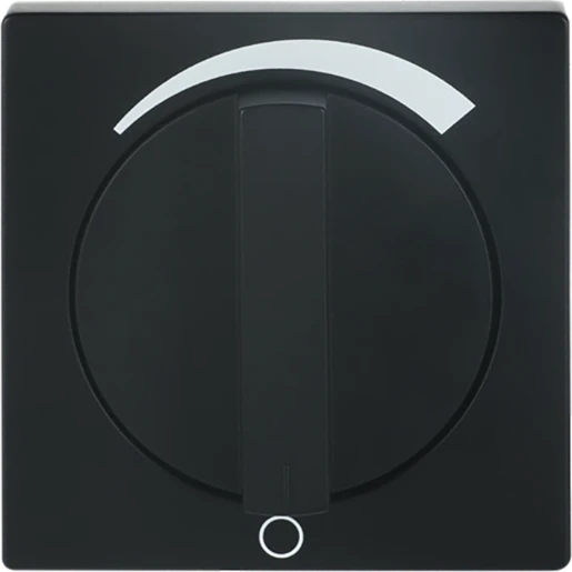 ABB Busch-Jaeger Future Centraalplaat + greep draaiknop zwart RAL 9005 2CKA001710A3892