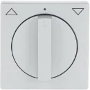 ABB Busch-Jaeger Future Centraalplaat knevelgreep aluminium RAL 9006 2CKA001710A3661