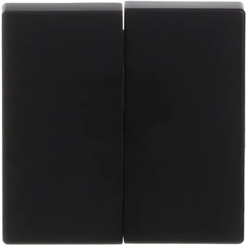 ABB Busch-Jaeger Future Axcent Carat bedieningselement voor serie + wissel aan / uit tweedelige wip zwart RAL 9005 2CKA001751A3038
