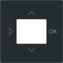 ABB Busch-Jaeger Art linear Centraalplaat timer bedieningselement centraalplaat zwart RAL 9005 2CKA006430A0453