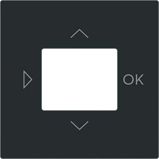 ABB Busch-Jaeger Art linear Centraalplaat timer bedieningselement centraalplaat zwart RAL 9005 2CKA006430A0453