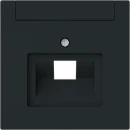 ABB Busch-Jaeger Art linear Centraalplaat voor UAE-datacontactdozen Voor dataansluitkast Bedieningselement 1 connector Met label zwart 2CKA001710A4222