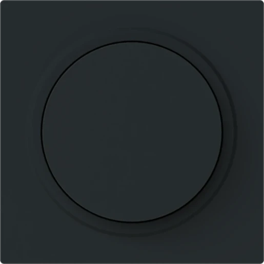 ABB Busch-Jaeger Art linear Centraalplaat draaiknop zwart RAL 9005 2CKA006599A3055