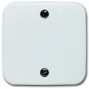 ABB Busch-Jaeger Reflex SI centraalplaat trekschakelaar 2610/6u aan / uit trekkoord wit RAL 9010 2CKA001753A5788