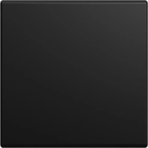 ABB Busch-Jaeger wip v wis kruis wis/2P SI-B-matzwart