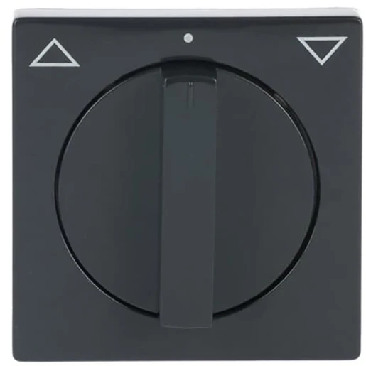 ABB Busch-Jaeger Future Carat Centraalplaat draaiknop antraciet RAL 7021 2CKA001710A3623