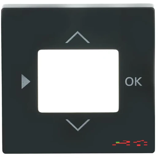 ABB Busch-Jaeger Future Carat Centraalplaat timer 6455-56 1098U (F) centraalplaat antraciet RAL 7021 2CKA006430A0303