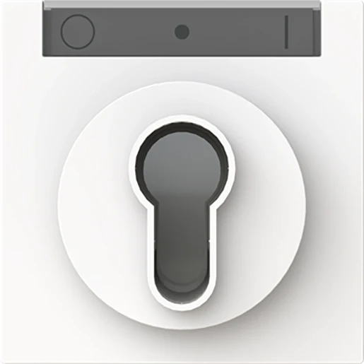 ABB Busch-Jaeger Art linear Centraalplaat slot sleutel wit RAL 9016 2CKA001710A4158