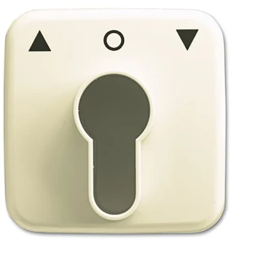 ABB Busch-Jaeger SI Centraalplaat slot sleutel wit RAL 1013 2CKA001710A1332