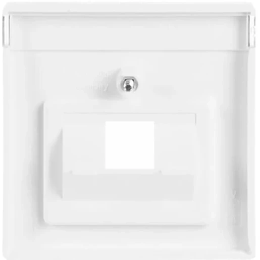 ABB Busch-Jaeger Future Solo Axcent Carat Centraalplaat datadoos RJ45 Jack plug Centraalplaat 1 connector Met label wit 2CKA001710A3165