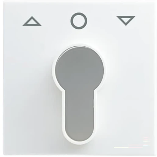 ABB Busch-Jaeger Balance Centraalplaat slot 27 USL-101 SI-B sleutel wit RAL 9010 2CKA001710A4069