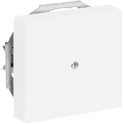 ABB Busch-Jaeger Future centraalplaat 1x uit boring Snoerkap Basiselement met centrale afdekplaat Zonder label wit 2CKA001710A3878