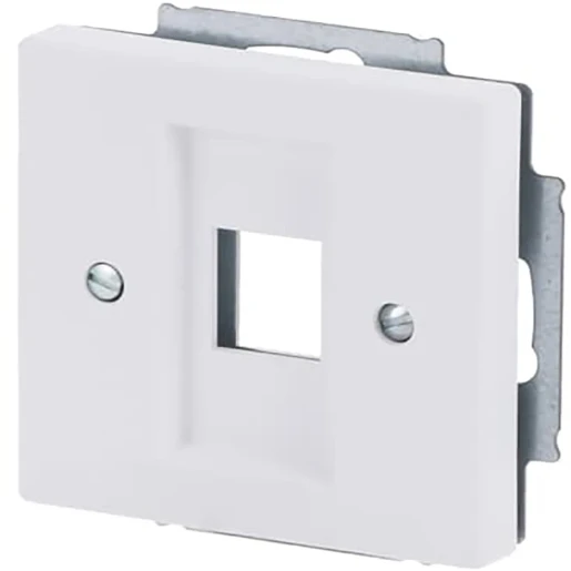 ABB Busch-Jaeger Future Centraalplaat 1 x MJ Modular-Jack Basiselement met centrale afdekplaat 1 connector Zonder label wit 2CKA001753A0405