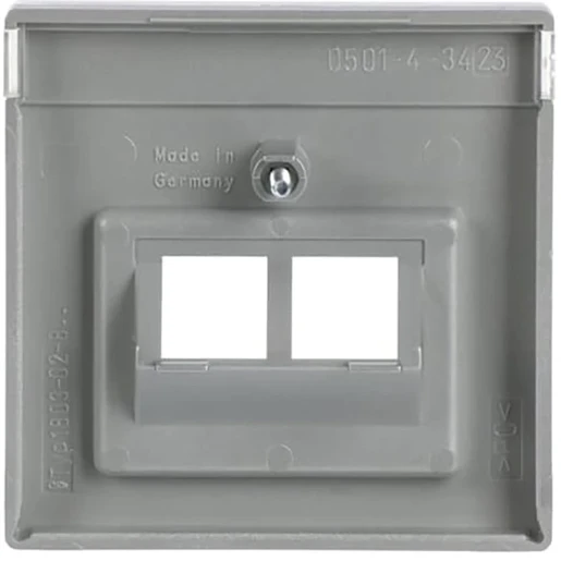 ABB Busch-Jaeger Future Centraalplaat datadoos RJ45 Jack plug Centraalplaat 2 connectoren Met label aluminium 2CKA001710A3610