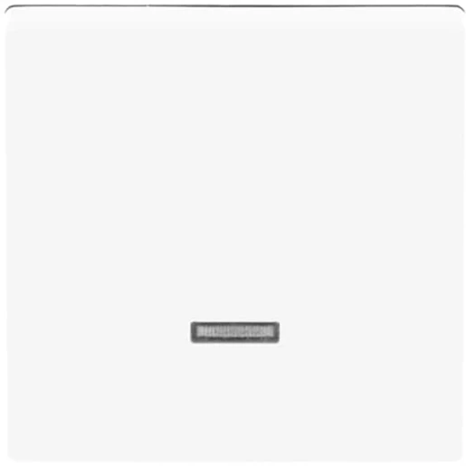 ABB Busch-Jaeger Future Solo Axcent Carat tiptoets enkele wip wit RAL 9016 2CKA006599A2834