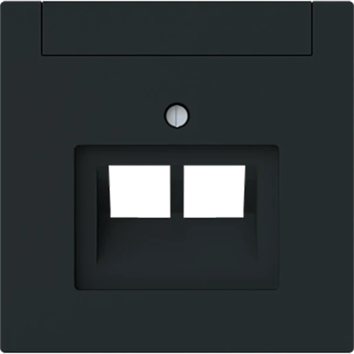 ABB Busch-Jaeger Art linear Centraalplaat voor UAE-datacontactdozen Voor dataansluitkast Bedieningselement 2 connectoren Met label zwart 2CKA001710A4230