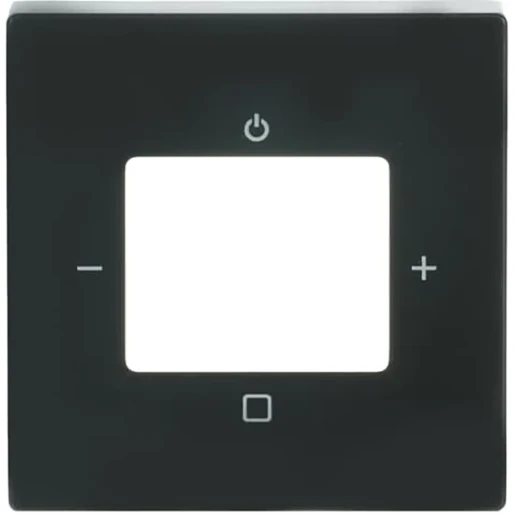 ABB Busch-Jaeger Future Axcent Carat Centraalplaat digitale radio antraciet RAL 7021 2CKA008200A0248