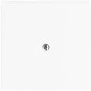 ABB Busch-Jaeger Future Solo Axcent Carat centraalplaat 1x uit boring 10mm Jack plug Centraalplaat Zonder label wit 2CKA001710A3173