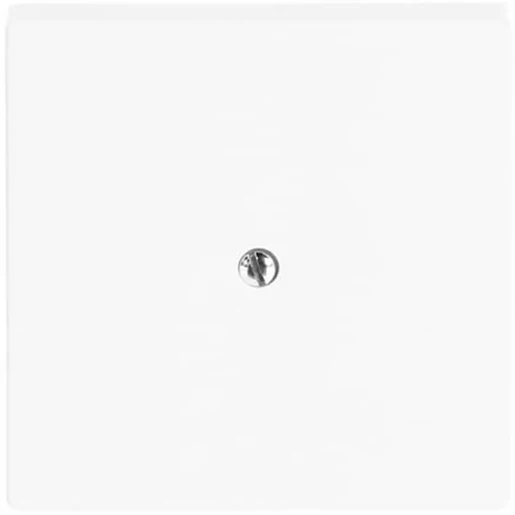 ABB Busch-Jaeger Future Solo Axcent Carat centraalplaat 1x uit boring 10mm Jack plug Centraalplaat Zonder label wit 2CKA001710A3173