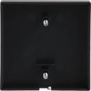 ABB Busch-Jaeger Future Axcent Carat centraalplaat aan / uit trekkoord zwart RAL 9005 2CKA001753A0314