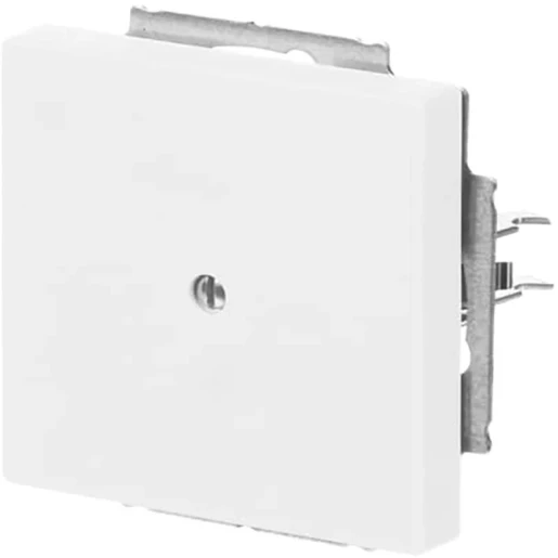 ABB Busch-Jaeger Future Axcent Centraalplaat blind wit RAL 9016 2CKA001710A3873