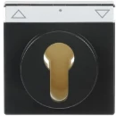 ABB Busch-Jaeger Future Carat centraalplaat slot aan / uit sleutel antraciet RAL 7021 2CKA001710A3626