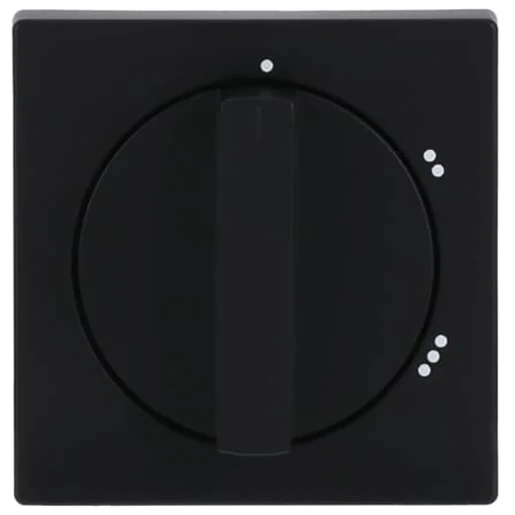 ABB Busch-Jaeger Future Centraalplaat 2710/1U knevelgreep zwart RAL 9005 2CKA001710A3914