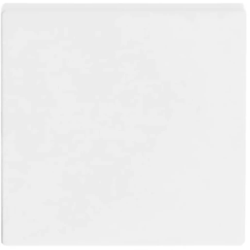 ABB Busch-Jaeger Future Axcent bedieningselement wissel/kruis/puls aan / uit enkele wip wit RAL 9016 2CKA001751A3027