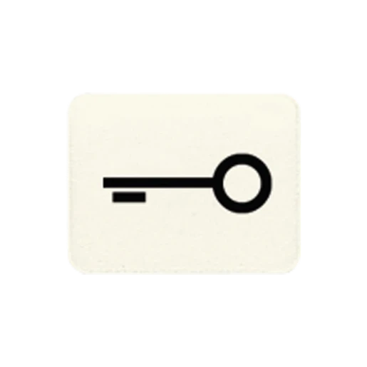 Jung inzetststuk contactdoos /ls/wg600/ap sleutel Symbool 