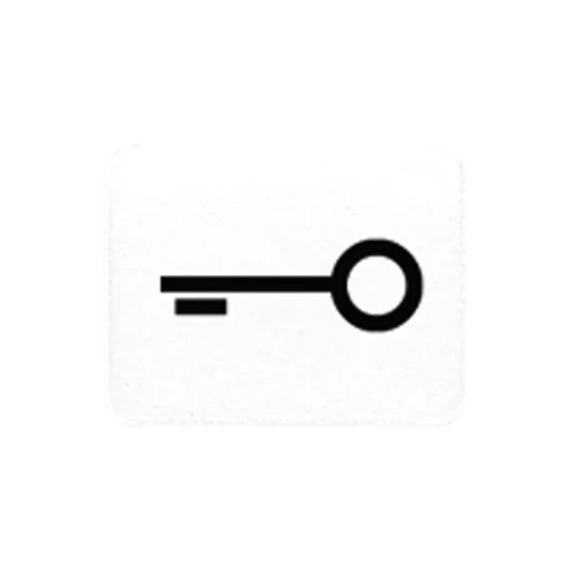 Jung inzetstuk alpine wit contactdoos ls/wg600/ap sleutel Symbool 