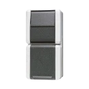Jung WG 800 combinatie wandcontactdoos wissel + ra opbouw grijs IP44 876W