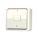 Jung AP 600 wipschakelaar Tweepolige schakelaar opbouw 10AX wit RAL 1013 IP20 602A