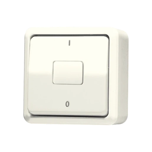 Jung AP 600 wipschakelaar Tweepolige schakelaar opbouw 10AX wit RAL 1013 IP20 602A