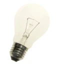 Bailey Incandescent MV E27 Gloeilamp 900lm 100W Helder kleurloos 60mm GC27240100