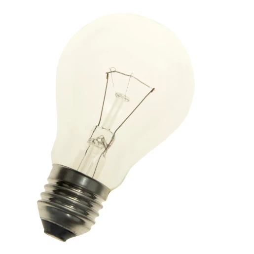 Bailey Incandescent MV E27 Gloeilamp 900lm 100W Helder kleurloos 60mm GC27240100