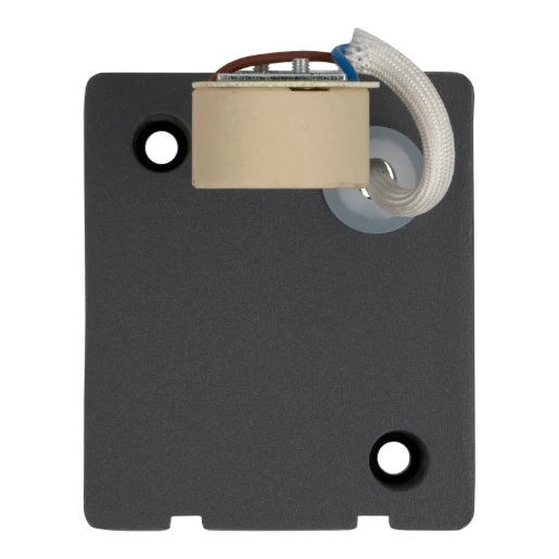 Bailey BaiLum GU10 buitenverlichting wandarmatuur d-vorm 81x68mm >80° - Schroefklem IP44 antraciet 145109