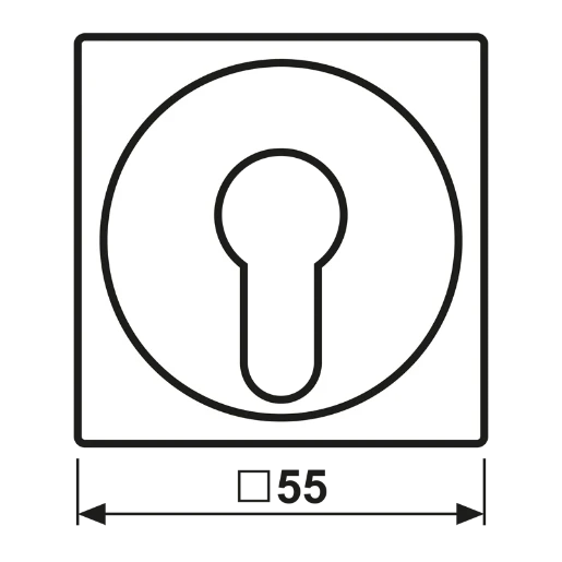 Jung AS range centraalplaat sleutelschakelaars en impulsgevers a(s)500 sleutel wit RAL 1013 A528PL