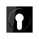 Jung A range Afdekking A500 sleutelschakelaar sleutel zwart RAL 9005 A528PLSW