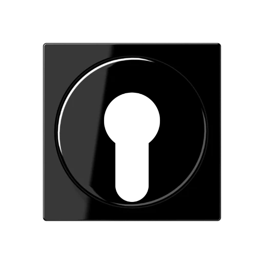 Jung A range Afdekking A500 sleutelschakelaar sleutel zwart RAL 9005 A528PLSW