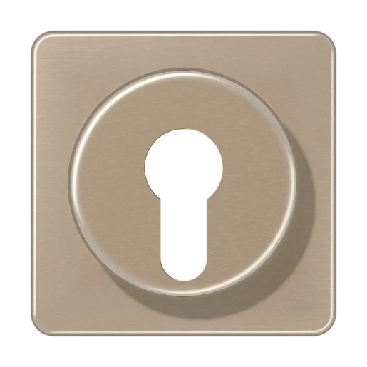 Jung CD range centraalplaat sleutelschakelaar cd500 sleutel brons CD528GB