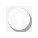 Jung AS/A range centraalplaat sleutelschakelaar a(s)500 sleutel wit RAL 9016 A528PLWW