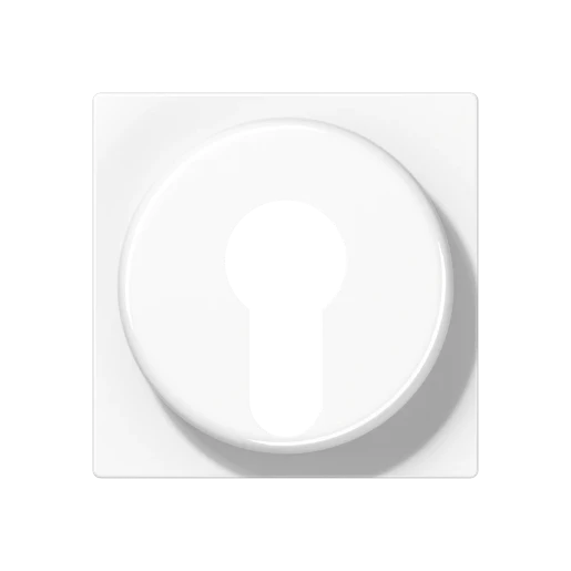 Jung AS/A range centraalplaat sleutelschakelaar a(s)500 sleutel wit RAL 9016 A528PLWW