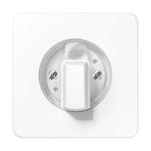 Jung CD range centraalplaat + knop voor timers cd500 draaiknop wit RAL 9016 CD1541WW