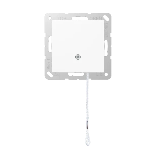 Jung AS/A range trekschakelaar a500 Wisselschakelaar inbouw 10AX wit RAL 9016 IP44 A506BFNUZWW