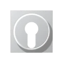 Jung A range centraalplaat sleutelschakelaar a500 sleutel aluminium RAL 9006 A528PLAL