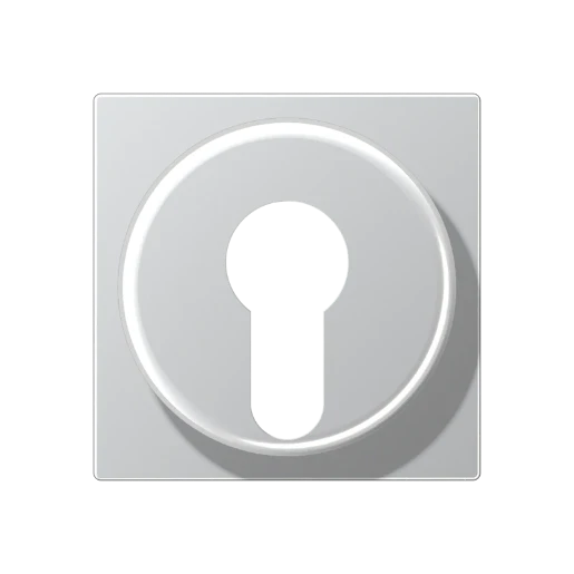 Jung A range centraalplaat sleutelschakelaar a500 sleutel aluminium RAL 9006 A528PLAL