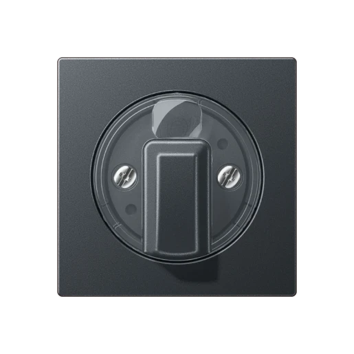 Jung A range afdekking bedieningselement a500 draaiknop antraciet RAL 7016 A1541BFANM