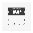 Jung LS range smartradio ls990 alpine wit DAB+ FM ontvanger wit DABLSWW