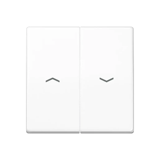 Jung AS range centraalplaat + schakelwippen as500 tweedelige wip wit RAL 9016 AS591-5PWW