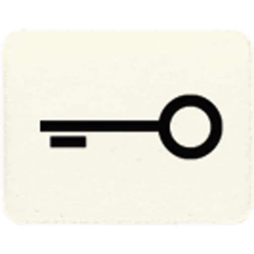 Jung inzetststuk contactdoos /ls/wg600/ap sleutel Symbool 